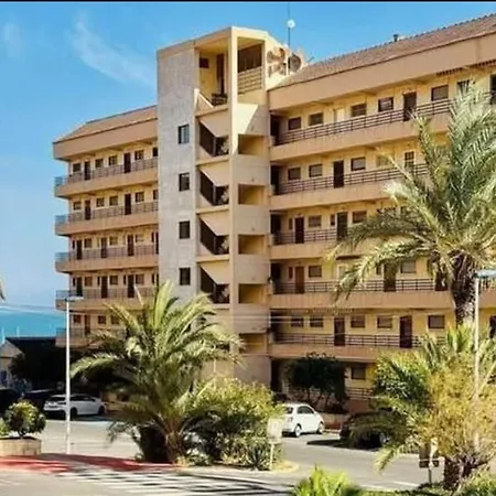 Petite Pepite De ! トレビエハ